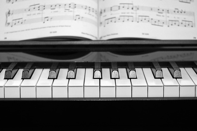 Detalle del piano — Red Vest
